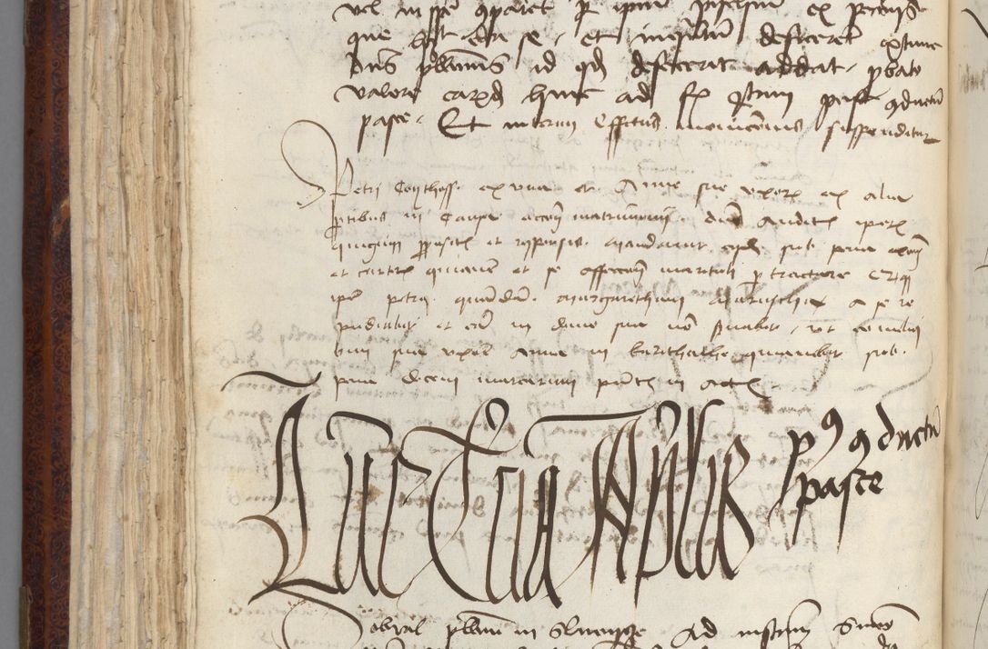 Zdjęcie nr 136 dla obiektu archiwalnego: [Acta pronuntiationum officialia coram Sandivogio de Thanczin]