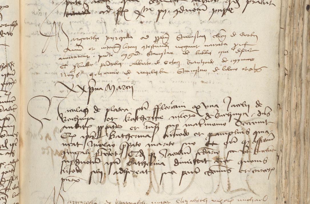 Zdjęcie nr 135 dla obiektu archiwalnego: [Acta pronuntiationum officialia coram Sandivogio de Thanczin]