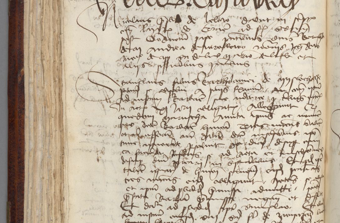 Zdjęcie nr 134 dla obiektu archiwalnego: [Acta pronuntiationum officialia coram Sandivogio de Thanczin]