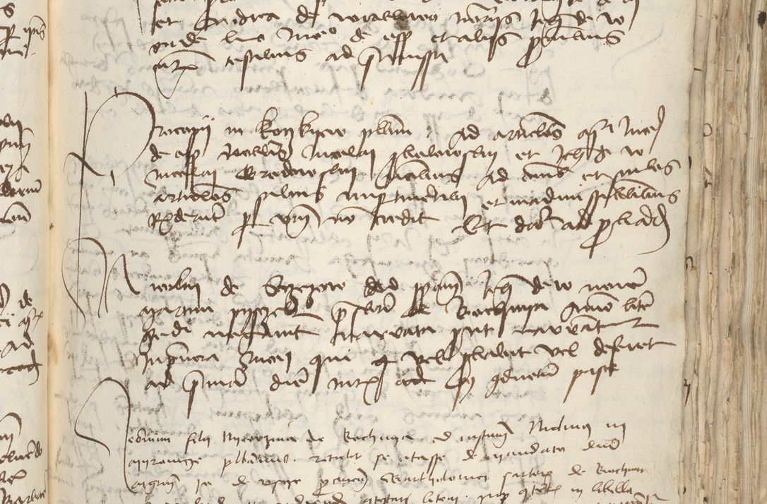 Zdjęcie nr 133 dla obiektu archiwalnego: [Acta pronuntiationum officialia coram Sandivogio de Thanczin]