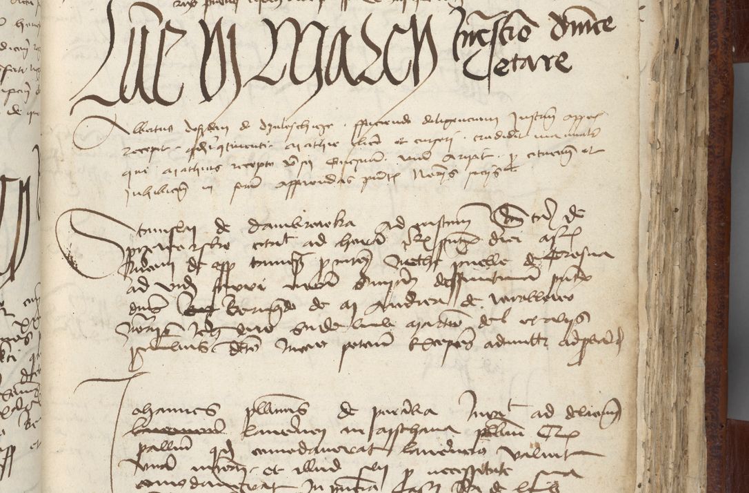 Zdjęcie nr 125 dla obiektu archiwalnego: [Acta pronuntiationum officialia coram Sandivogio de Thanczin]