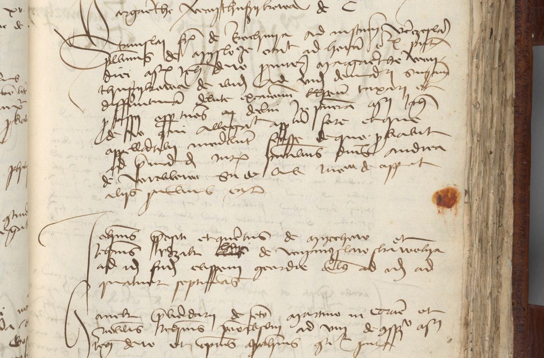 Zdjęcie nr 113 dla obiektu archiwalnego: [Acta pronuntiationum officialia coram Sandivogio de Thanczin]