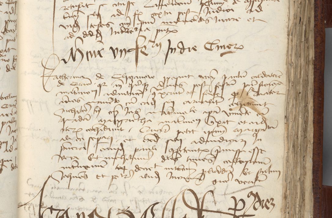 Zdjęcie nr 111 dla obiektu archiwalnego: [Acta pronuntiationum officialia coram Sandivogio de Thanczin]