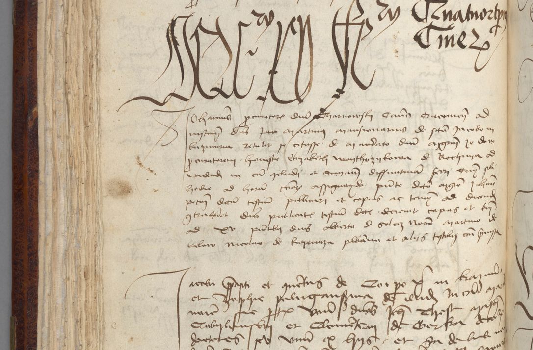 Zdjęcie nr 114 dla obiektu archiwalnego: [Acta pronuntiationum officialia coram Sandivogio de Thanczin]