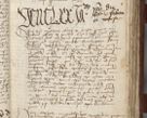 Zdjęcie nr 101 dla obiektu archiwalnego: [Acta pronuntiationum officialia coram Sandivogio de Thanczin]