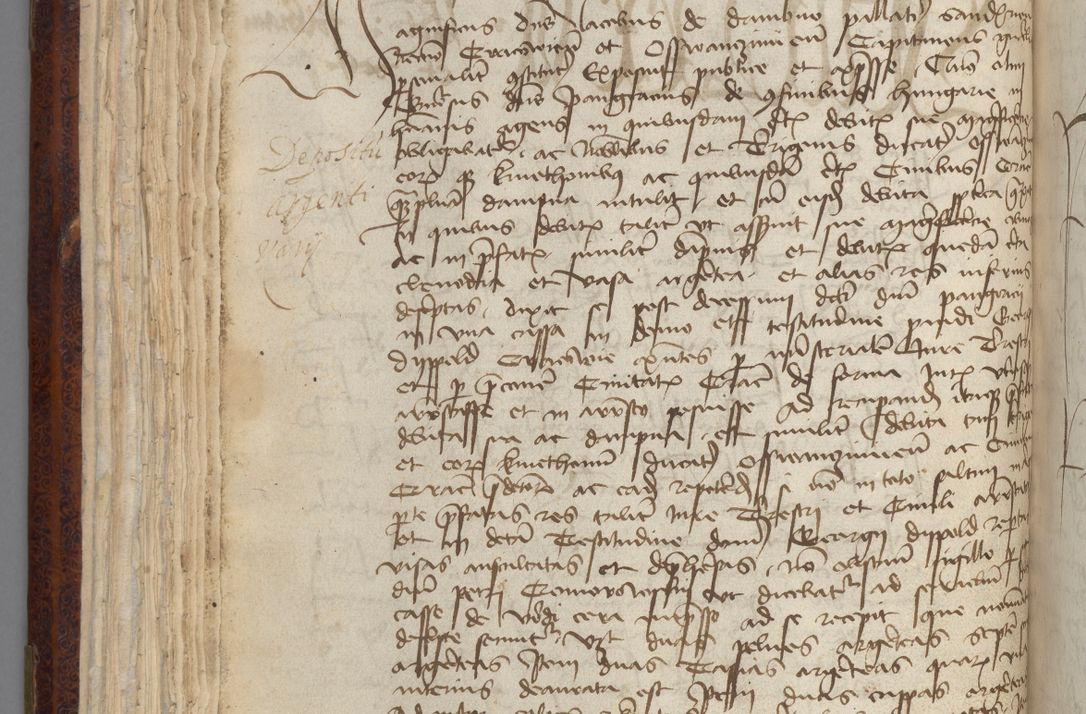 Zdjęcie nr 102 dla obiektu archiwalnego: [Acta pronuntiationum officialia coram Sandivogio de Thanczin]