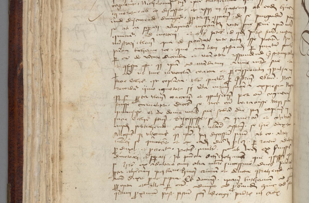 Zdjęcie nr 100 dla obiektu archiwalnego: [Acta pronuntiationum officialia coram Sandivogio de Thanczin]