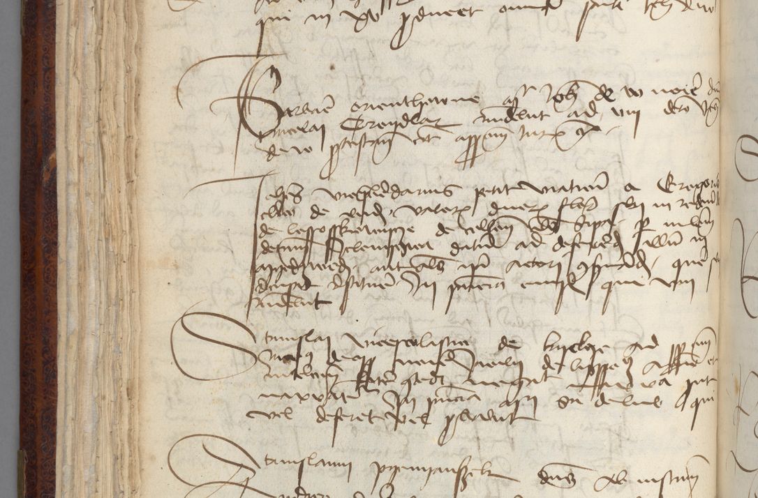 Zdjęcie nr 98 dla obiektu archiwalnego: [Acta pronuntiationum officialia coram Sandivogio de Thanczin]