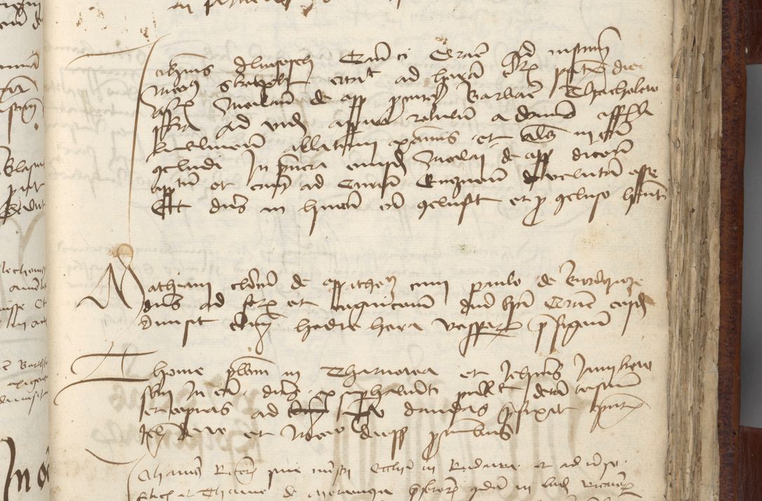 Zdjęcie nr 95 dla obiektu archiwalnego: [Acta pronuntiationum officialia coram Sandivogio de Thanczin]