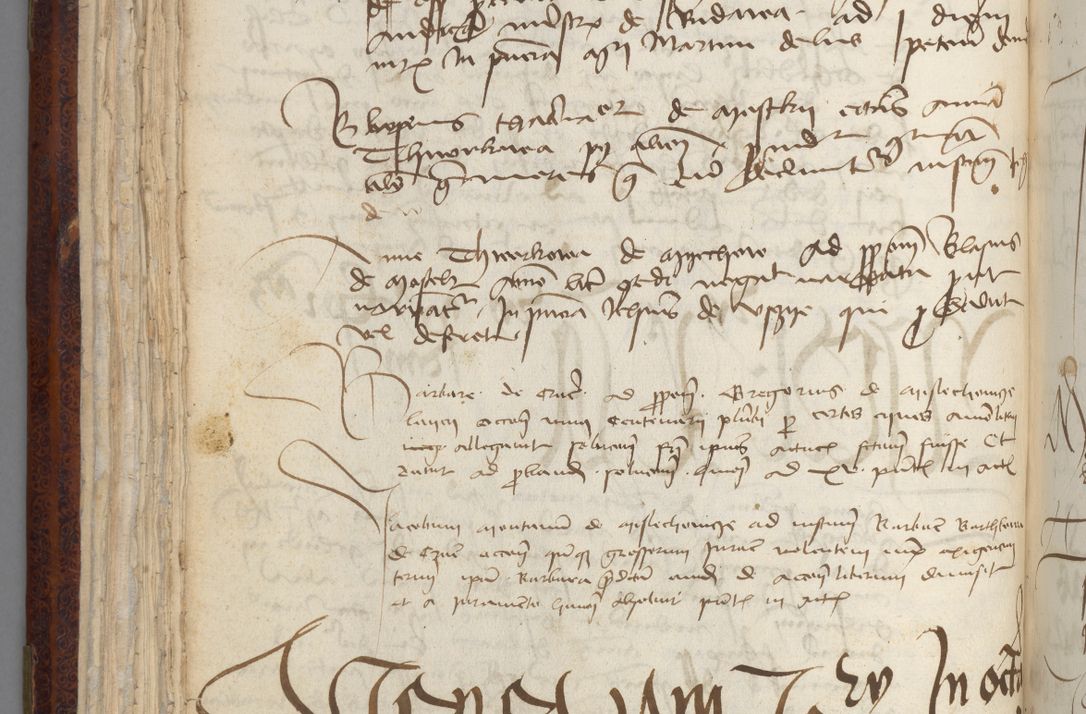 Zdjęcie nr 94 dla obiektu archiwalnego: [Acta pronuntiationum officialia coram Sandivogio de Thanczin]