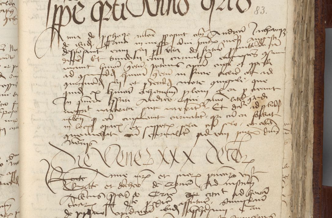 Zdjęcie nr 89 dla obiektu archiwalnego: [Acta pronuntiationum officialia coram Sandivogio de Thanczin]