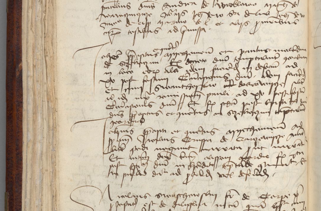 Zdjęcie nr 84 dla obiektu archiwalnego: [Acta pronuntiationum officialia coram Sandivogio de Thanczin]