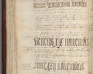Zdjęcie nr 74 dla obiektu archiwalnego: [Acta pronuntiationum officialia coram Sandivogio de Thanczin]