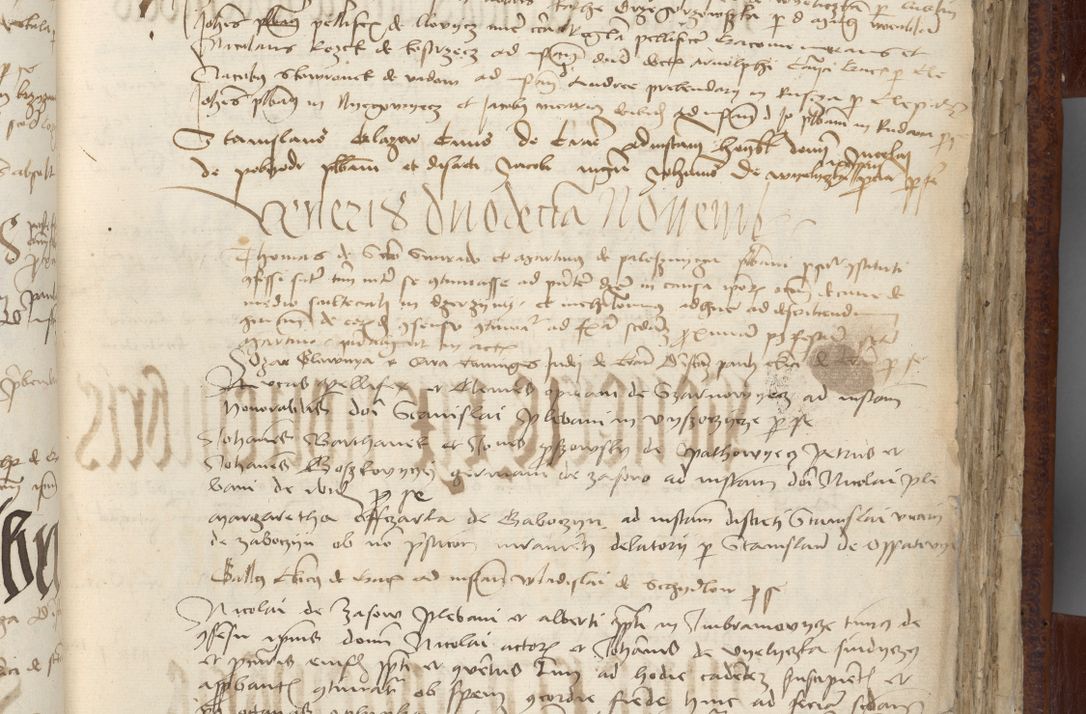 Zdjęcie nr 73 dla obiektu archiwalnego: [Acta pronuntiationum officialia coram Sandivogio de Thanczin]