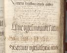Zdjęcie nr 71 dla obiektu archiwalnego: [Acta pronuntiationum officialia coram Sandivogio de Thanczin]
