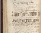 Zdjęcie nr 70 dla obiektu archiwalnego: [Acta pronuntiationum officialia coram Sandivogio de Thanczin]