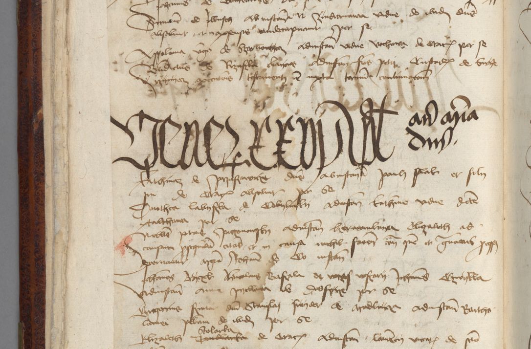 Zdjęcie nr 30 dla obiektu archiwalnego: [Acta pronuntiationum officialia coram Sandivogio de Thanczin]