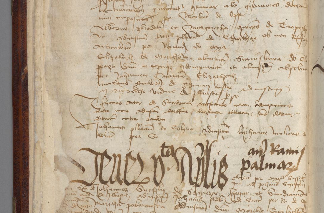 Zdjęcie nr 28 dla obiektu archiwalnego: [Acta pronuntiationum officialia coram Sandivogio de Thanczin]