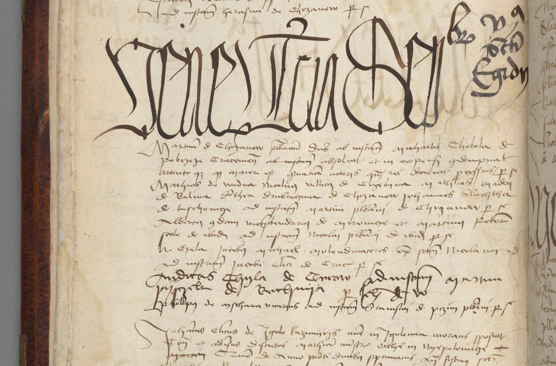 Zdjęcie nr 26 dla obiektu archiwalnego: [Acta pronuntiationum officialia coram Sandivogio de Thanczin]