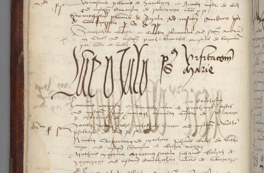 Zdjęcie nr 20 dla obiektu archiwalnego: [Acta pronuntiationum officialia coram Sandivogio de Thanczin]