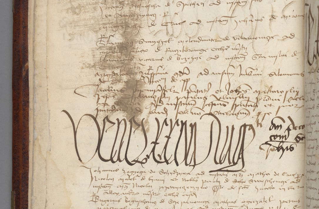 Zdjęcie nr 24 dla obiektu archiwalnego: [Acta pronuntiationum officialia coram Sandivogio de Thanczin]