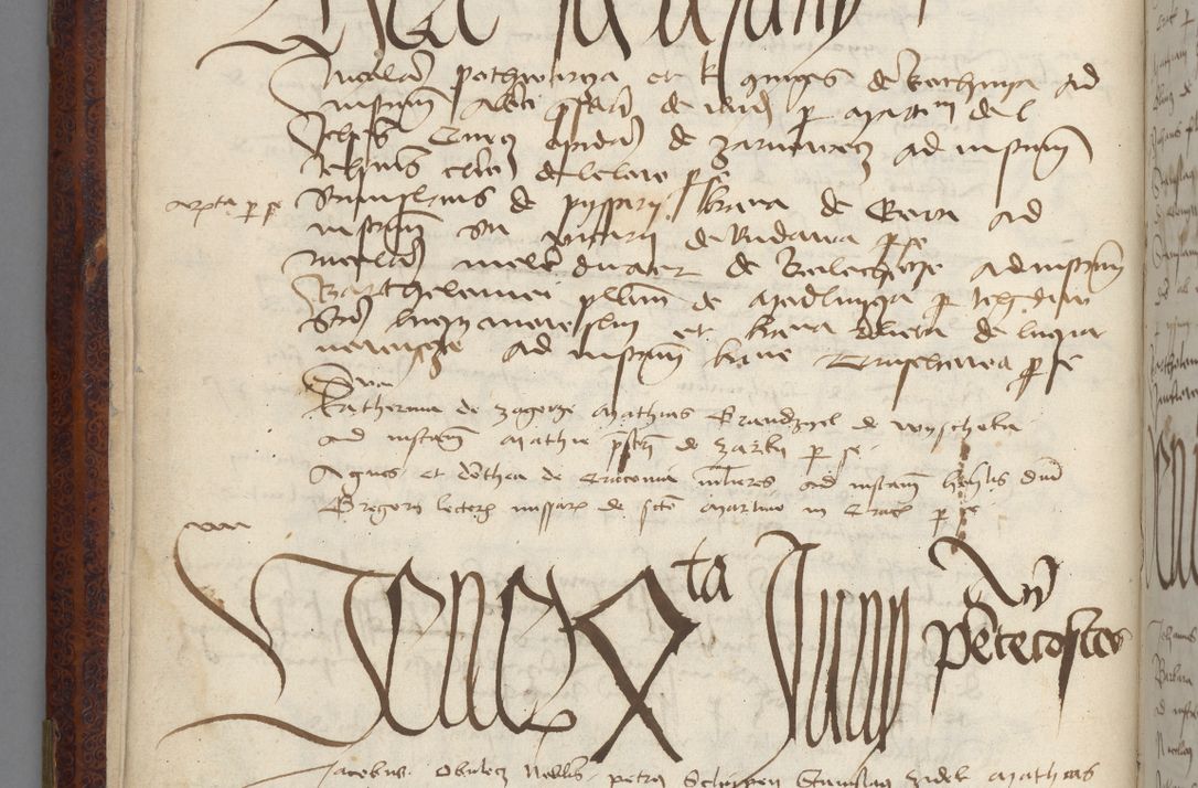 Zdjęcie nr 14 dla obiektu archiwalnego: [Acta pronuntiationum officialia coram Sandivogio de Thanczin]