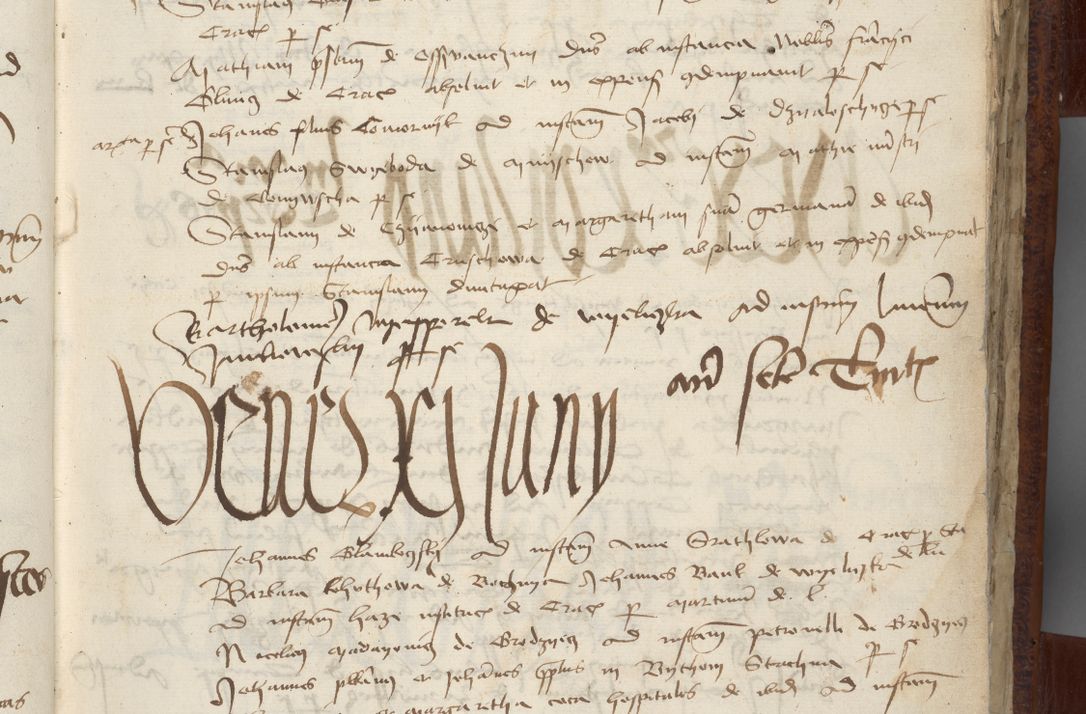 Zdjęcie nr 15 dla obiektu archiwalnego: [Acta pronuntiationum officialia coram Sandivogio de Thanczin]