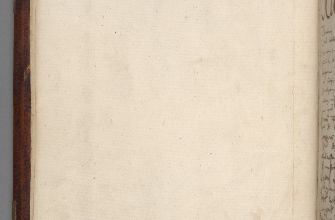 Zdjęcie nr 8 dla obiektu archiwalnego: [Acta pronuntiationum officialia coram Sandivogio de Thanczin]