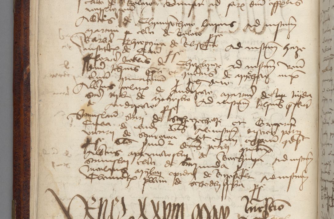 Zdjęcie nr 12 dla obiektu archiwalnego: [Acta pronuntiationum officialia coram Sandivogio de Thanczin]