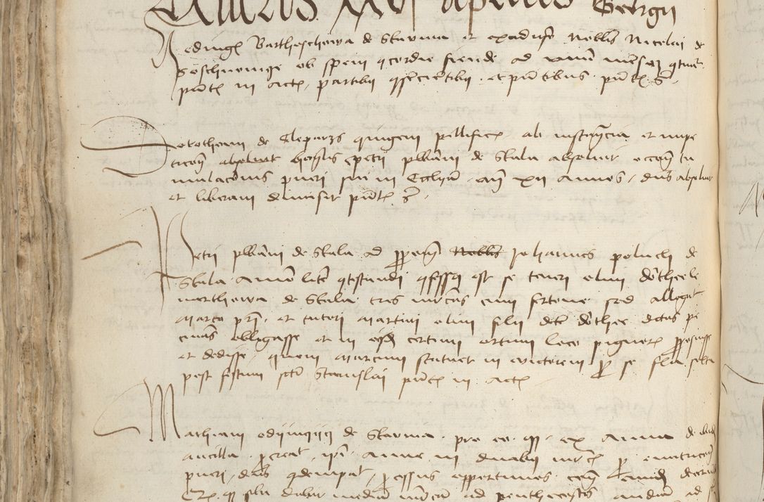 Zdjęcie nr 400 dla obiektu archiwalnego: [Acta pronuntiationum officialia coram Sandivogio de Thanczin]