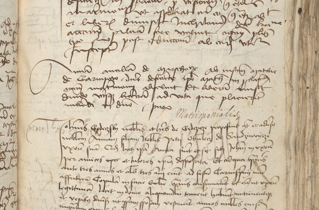 Zdjęcie nr 321 dla obiektu archiwalnego: [Acta pronuntiationum officialia coram Sandivogio de Thanczin]