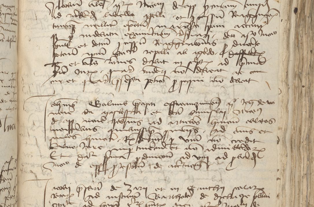 Zdjęcie nr 323 dla obiektu archiwalnego: [Acta pronuntiationum officialia coram Sandivogio de Thanczin]