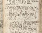 Zdjęcie nr 317 dla obiektu archiwalnego: [Acta pronuntiationum officialia coram Sandivogio de Thanczin]