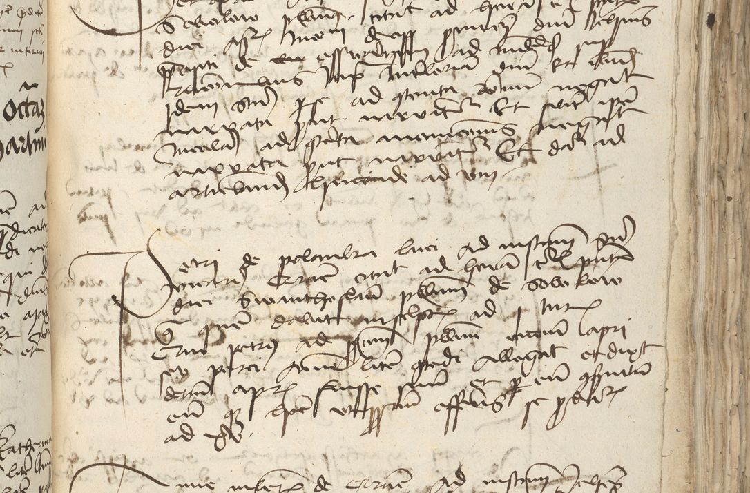 Zdjęcie nr 301 dla obiektu archiwalnego: [Acta pronuntiationum officialia coram Sandivogio de Thanczin]