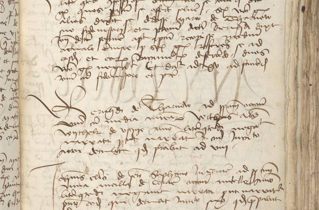 Zdjęcie nr 285 dla obiektu archiwalnego: [Acta pronuntiationum officialia coram Sandivogio de Thanczin]