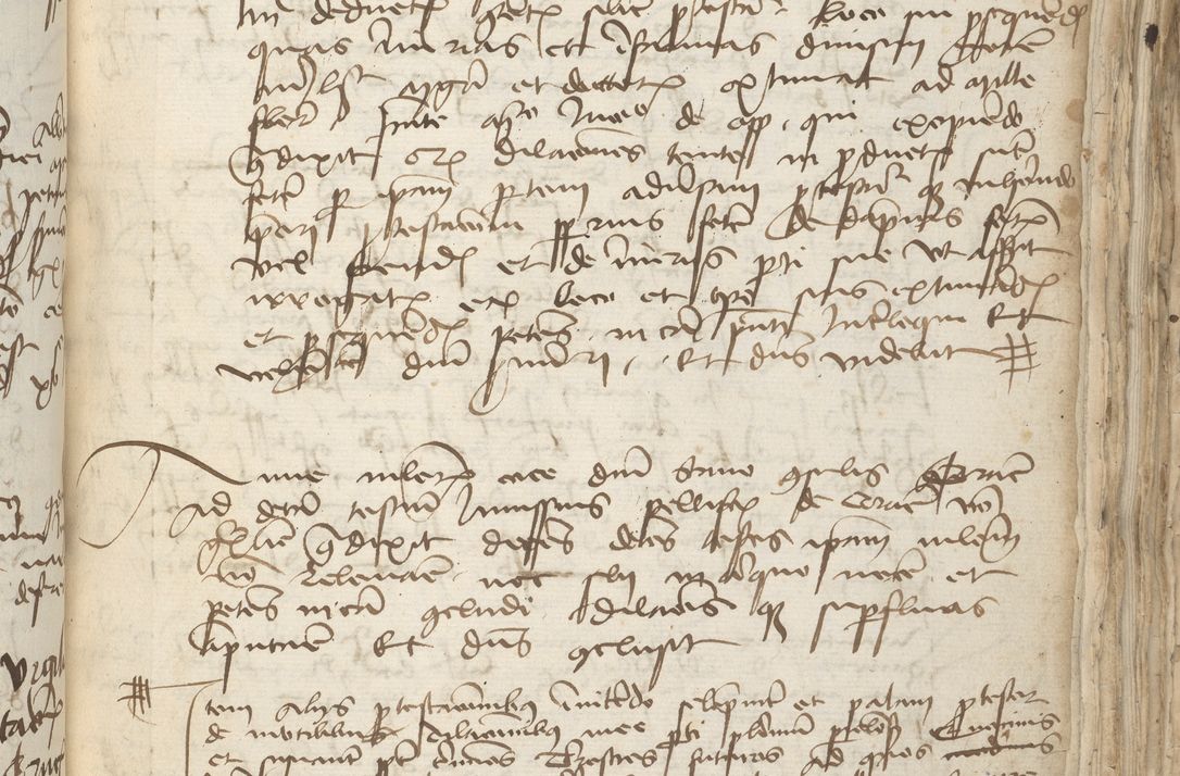 Zdjęcie nr 245 dla obiektu archiwalnego: [Acta pronuntiationum officialia coram Sandivogio de Thanczin]