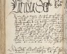 Zdjęcie nr 238 dla obiektu archiwalnego: [Acta pronuntiationum officialia coram Sandivogio de Thanczin]