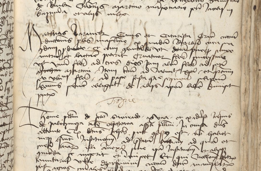 Zdjęcie nr 233 dla obiektu archiwalnego: [Acta pronuntiationum officialia coram Sandivogio de Thanczin]