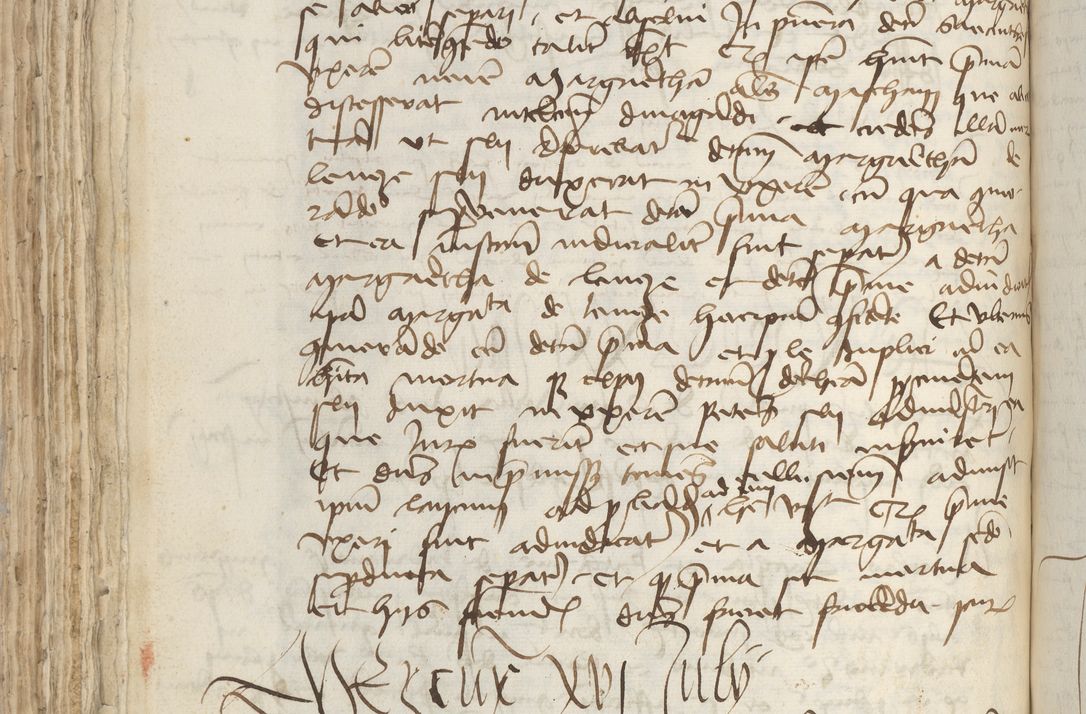 Zdjęcie nr 218 dla obiektu archiwalnego: [Acta pronuntiationum officialia coram Sandivogio de Thanczin]