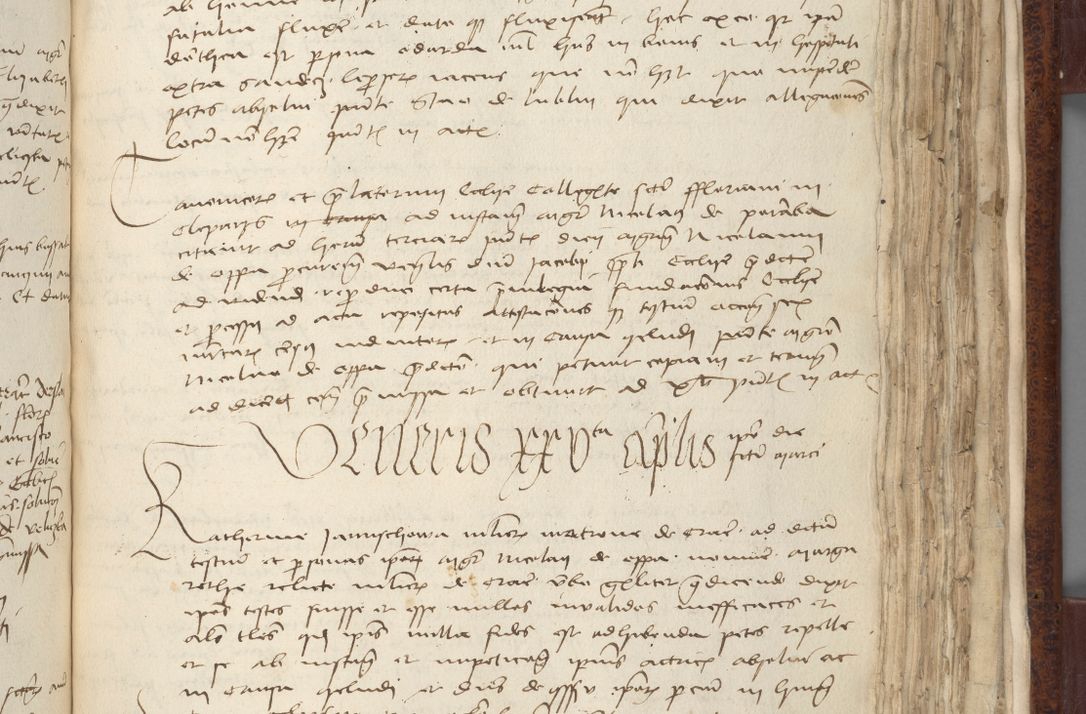 Zdjęcie nr 557 dla obiektu archiwalnego: [Acta pronuntiationum officialia coram Sandivogio de Thanczin]