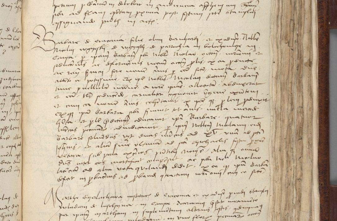 Zdjęcie nr 555 dla obiektu archiwalnego: [Acta pronuntiationum officialia coram Sandivogio de Thanczin]