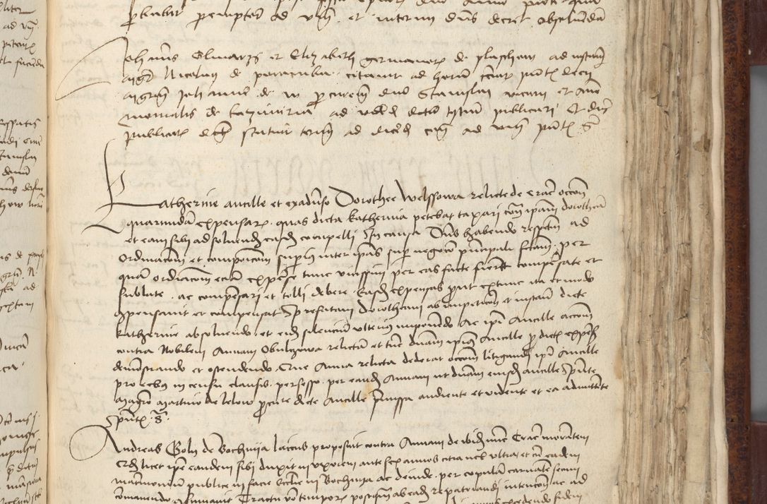 Zdjęcie nr 543 dla obiektu archiwalnego: [Acta pronuntiationum officialia coram Sandivogio de Thanczin]