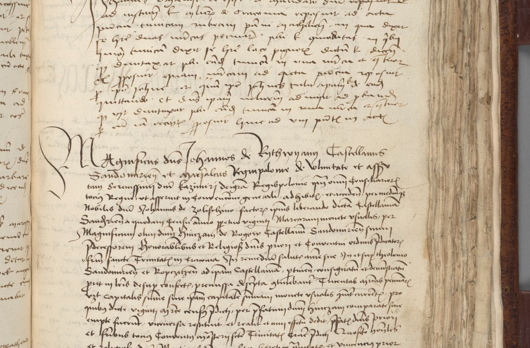 Zdjęcie nr 537 dla obiektu archiwalnego: [Acta pronuntiationum officialia coram Sandivogio de Thanczin]