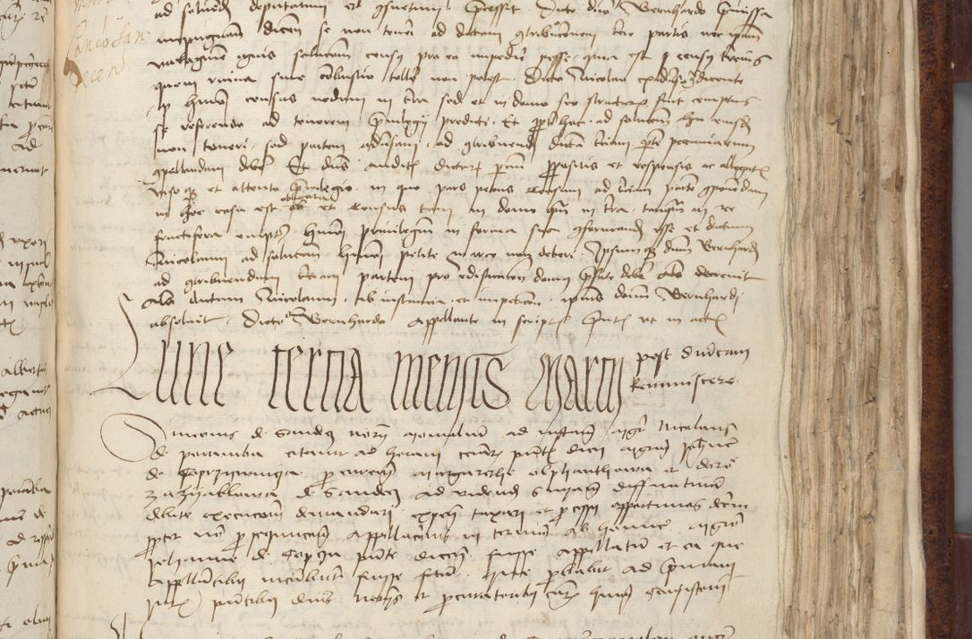 Zdjęcie nr 527 dla obiektu archiwalnego: [Acta pronuntiationum officialia coram Sandivogio de Thanczin]