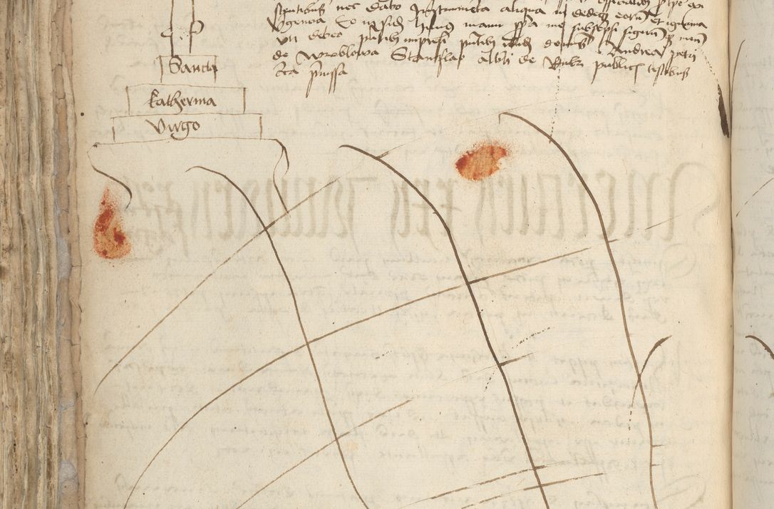 Zdjęcie nr 506 dla obiektu archiwalnego: [Acta pronuntiationum officialia coram Sandivogio de Thanczin]