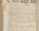 Zdjęcie nr 498 dla obiektu archiwalnego: [Acta pronuntiationum officialia coram Sandivogio de Thanczin]