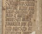 Zdjęcie nr 495 dla obiektu archiwalnego: [Acta pronuntiationum officialia coram Sandivogio de Thanczin]