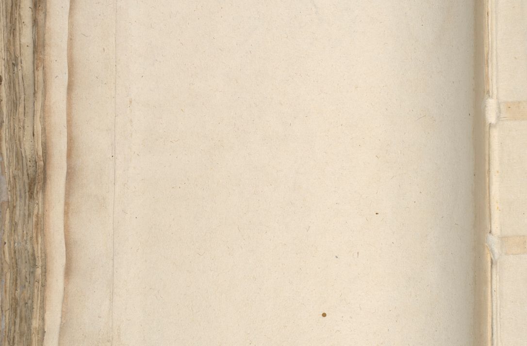 Zdjęcie nr 848 dla obiektu archiwalnego: [Acta pronuntiationum officialia coram Sandivogio de Thanczin]