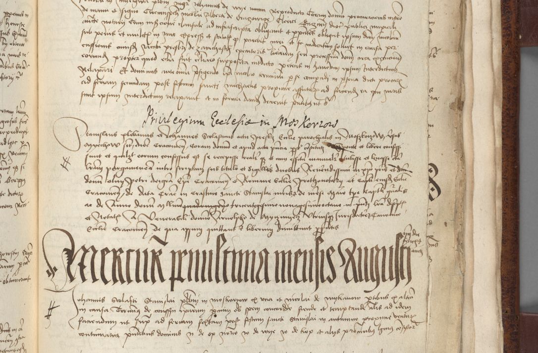 Zdjęcie nr 791 dla obiektu archiwalnego: [Acta pronuntiationum officialia coram Sandivogio de Thanczin]