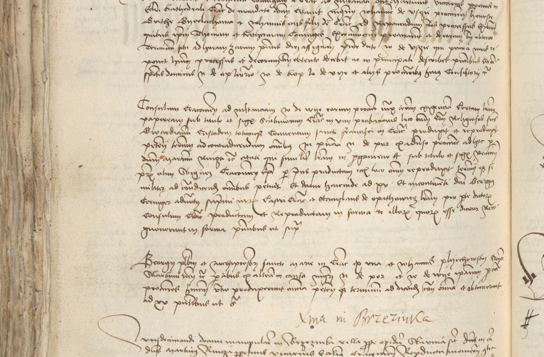 Zdjęcie nr 790 dla obiektu archiwalnego: [Acta pronuntiationum officialia coram Sandivogio de Thanczin]